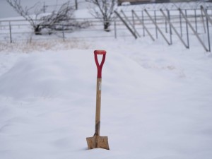 天空のピオーネ農園アグリスジャパン