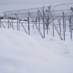 天空のピオーネ農園アグリスジャパン