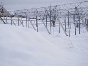 天空のピオーネ農園アグリスジャパン