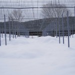 天空のピオーネ農園アグリスジャパン