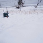 天空のピオーネ農園アグリスジャパン