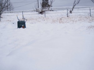 天空のピオーネ農園アグリスジャパン