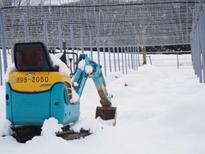 天空のピオーネ農園アグリスジャパン