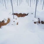 天空のピオーネ農園アグリスジャパン