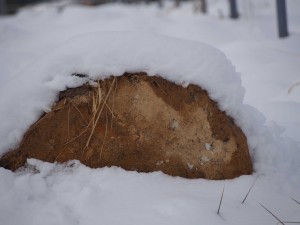 天空のピオーネ農園アグリスジャパン