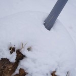 天空のピオーネ農園アグリスジャパン