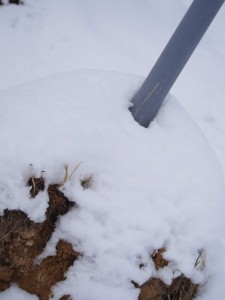 天空のピオーネ農園アグリスジャパン