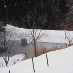 天空のピオーネ農園アグリスジャパン