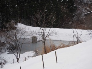 天空のピオーネ農園アグリスジャパン