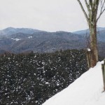 天空のピオーネ農園アグリスジャパン