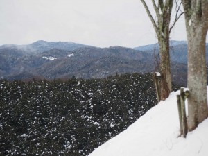 天空のピオーネ農園アグリスジャパン
