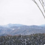 天空のピオーネ農園アグリスジャパン