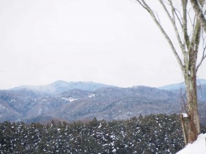 天空のピオーネ農園アグリスジャパン