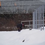 天空のピオーネ農園アグリスジャパン
