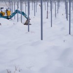 天空のピオーネ農園アグリスジャパン