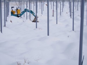 天空のピオーネ農園アグリスジャパン