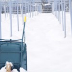 天空のピオーネ農園アグリスジャパン