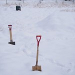 天空のピオーネ農園アグリスジャパン