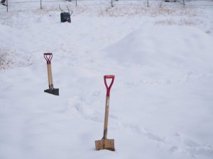 天空のピオーネ農園アグリスジャパン