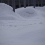 天空のピオーネ農園アグリスジャパン