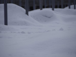 天空のピオーネ農園アグリスジャパン