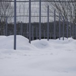 天空のピオーネ農園アグリスジャパン