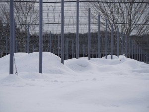 天空のピオーネ農園アグリスジャパン