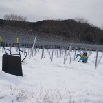 天空のピオーネ農園アグリスジャパン