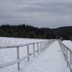 天空のピオーネ農園アグリスジャパン