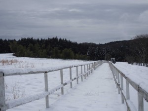 天空のピオーネ農園アグリスジャパン