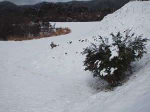 天空のピオーネ農園アグリスジャパン