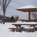 天空のピオーネ農園アグリスジャパン