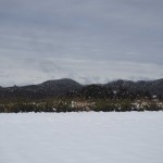 天空のピオーネ農園アグリスジャパン