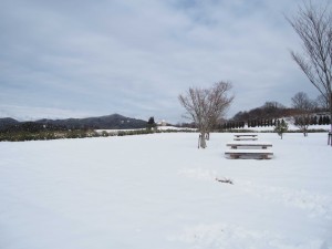 天空のピオーネ農園アグリスジャパン