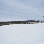 天空のピオーネ農園アグリスジャパン