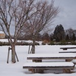 天空のピオーネ農園アグリスジャパン