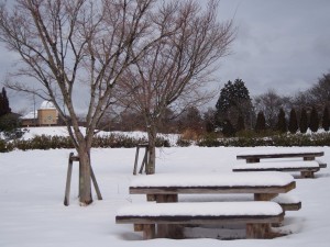 天空のピオーネ農園アグリスジャパン