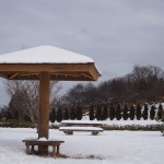 天空のピオーネ農園アグリスジャパン