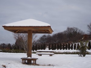 天空のピオーネ農園アグリスジャパン