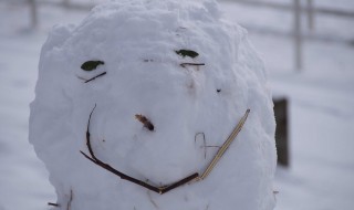 天空のピオーネ農園雪