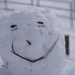 天空のピオーネ農園アグリスジャパン