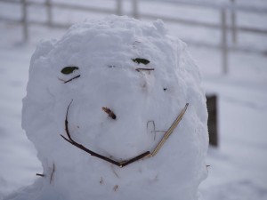 天空のピオーネ農園アグリスジャパン