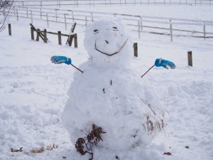 天空のピオーネ農園アグリスジャパン