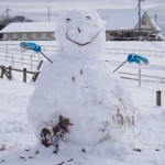 天空のピオーネ農園アグリスジャパン