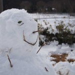 天空のピオーネ農園アグリスジャパン