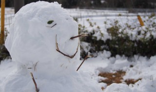 天空のピオーネ農園アグリスジャパン