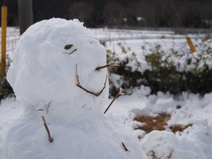 天空のピオーネ農園アグリスジャパン
