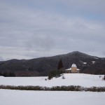 ｐ天空のピオーネ農園アグリスジャパン