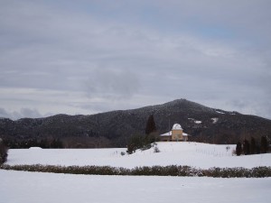 ｐ天空のピオーネ農園アグリスジャパン