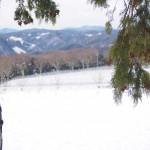 天空のピオーネ農園アグリスジャパン